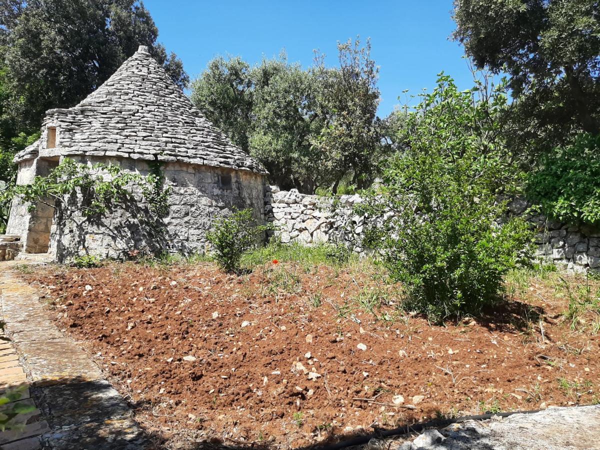 Villa Bellocchio لوكوروتوندو المظهر الخارجي الصورة