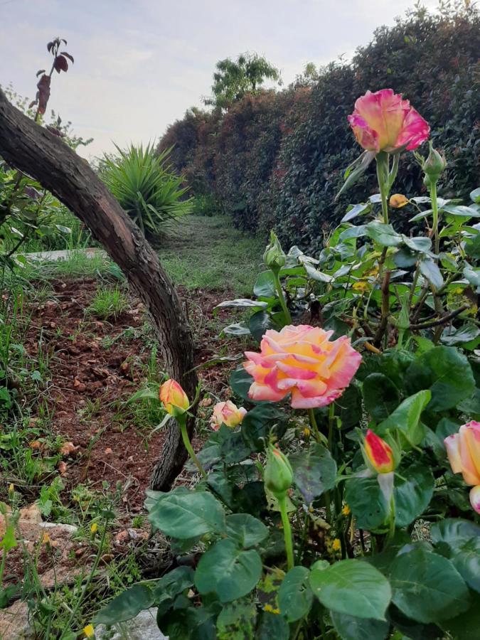 Villa Bellocchio لوكوروتوندو المظهر الخارجي الصورة